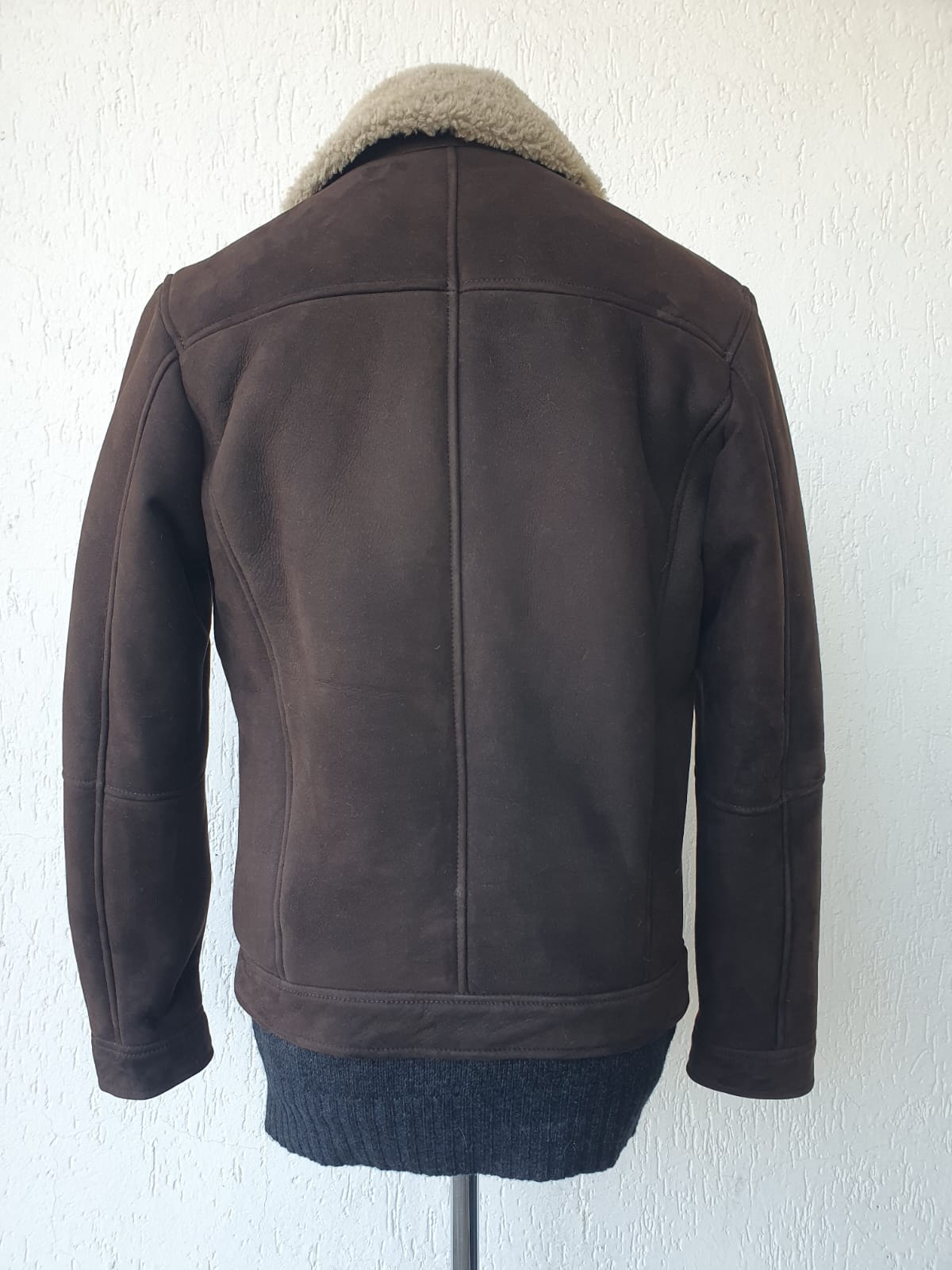 Montone Merinillo colore Testa Moro