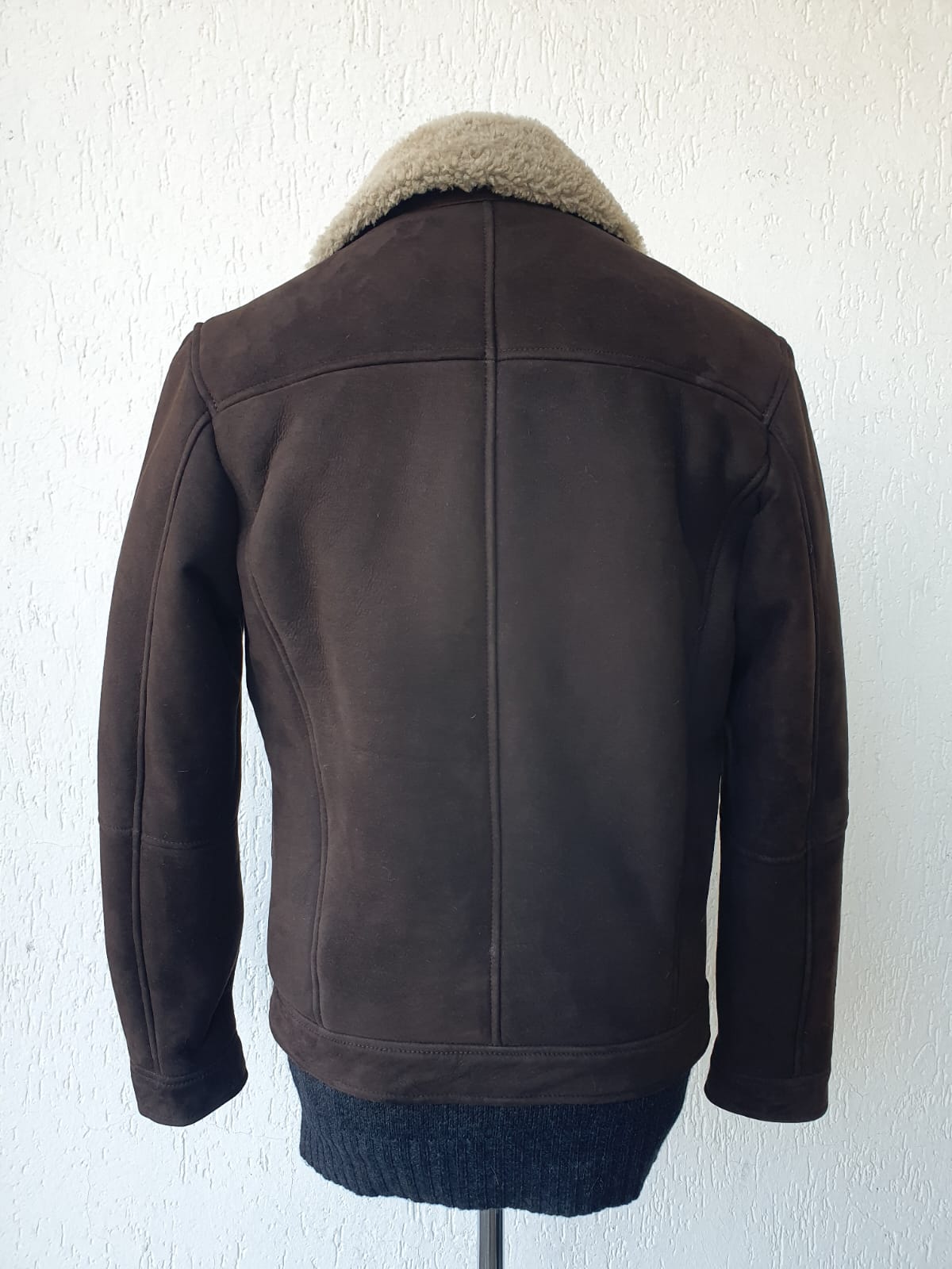 Montone Merinillo colore Testa Moro